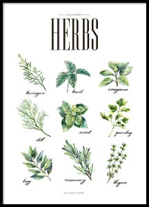 82308 Herbs green 50x70